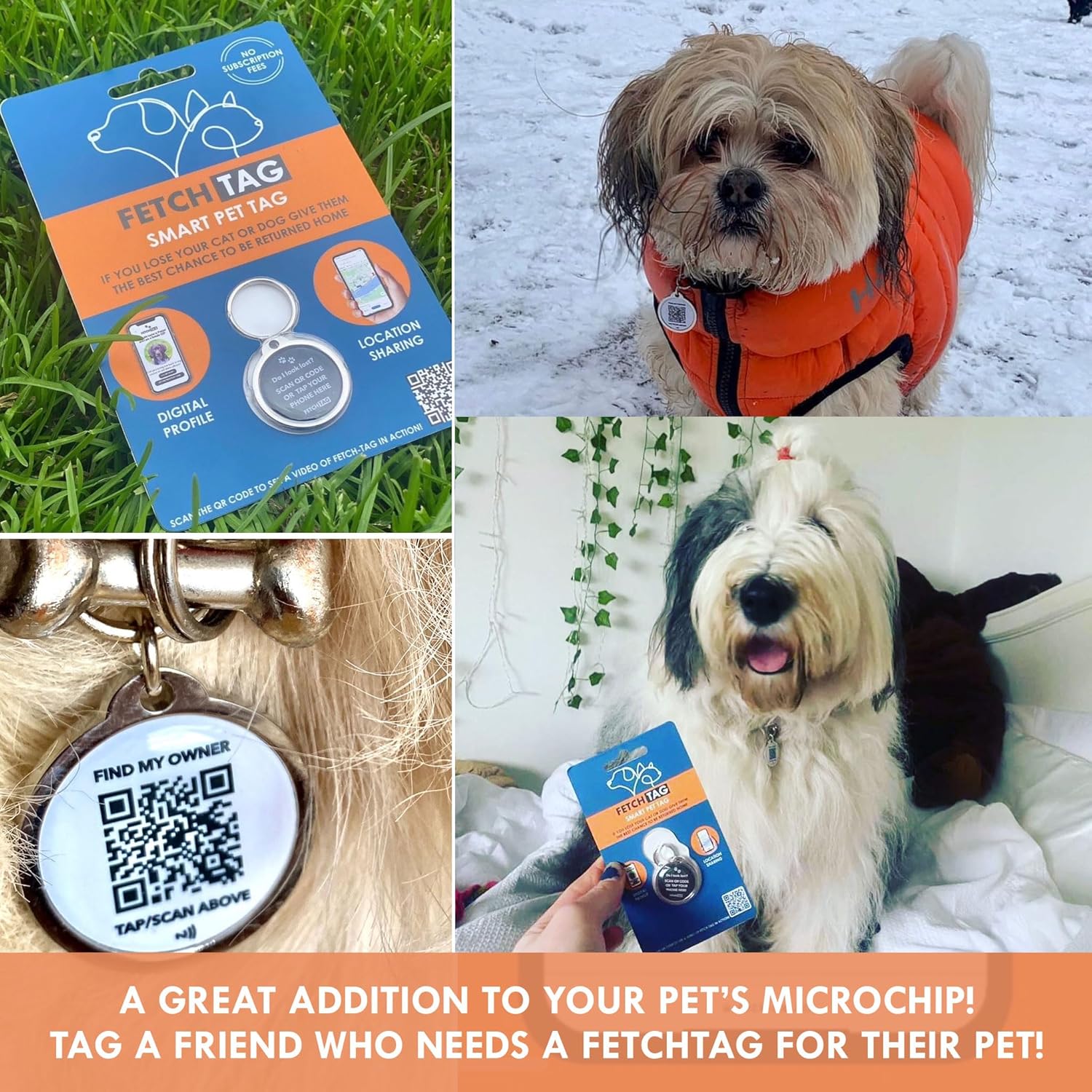 Smart Pet ID Tag