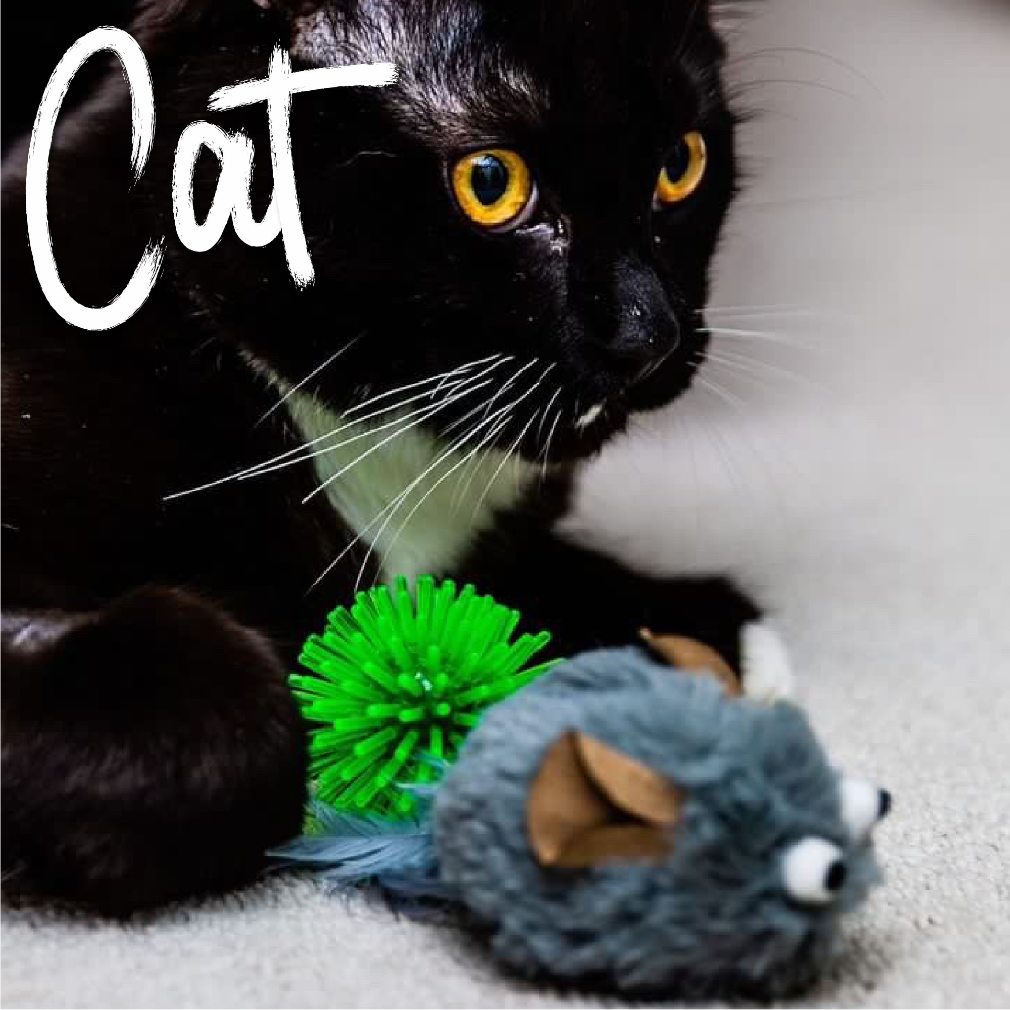 Twin Mice Cat Toy