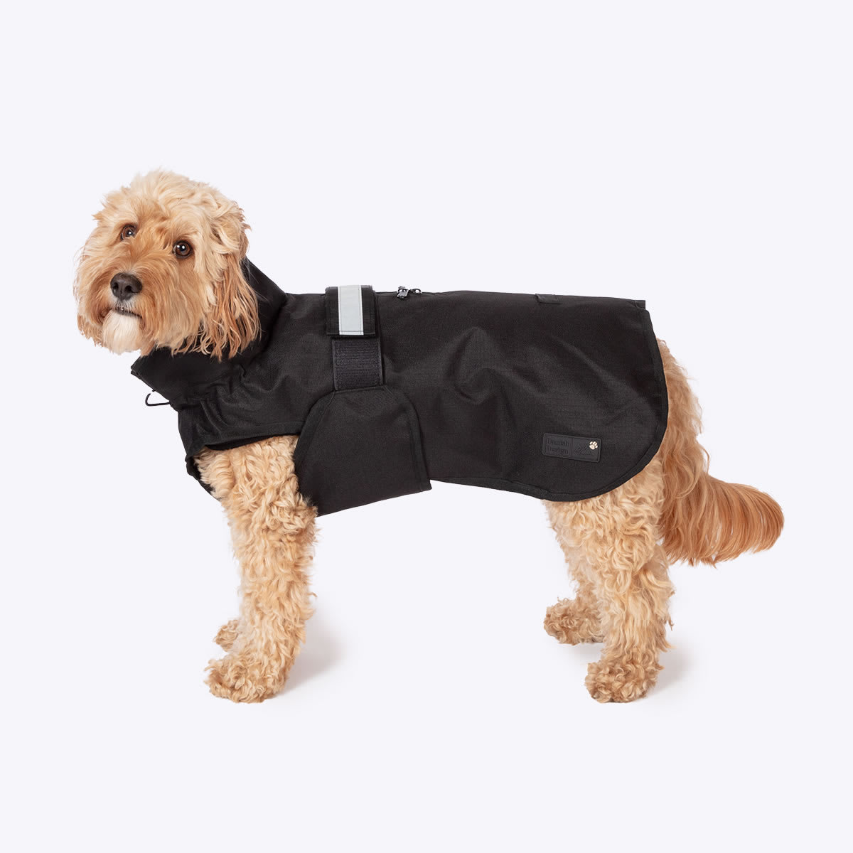 3 in 1 Black Dog Coat