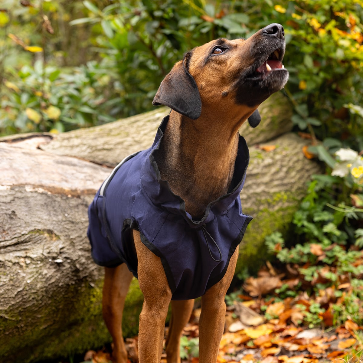 3 in 1 Navy Blue Dog Coat