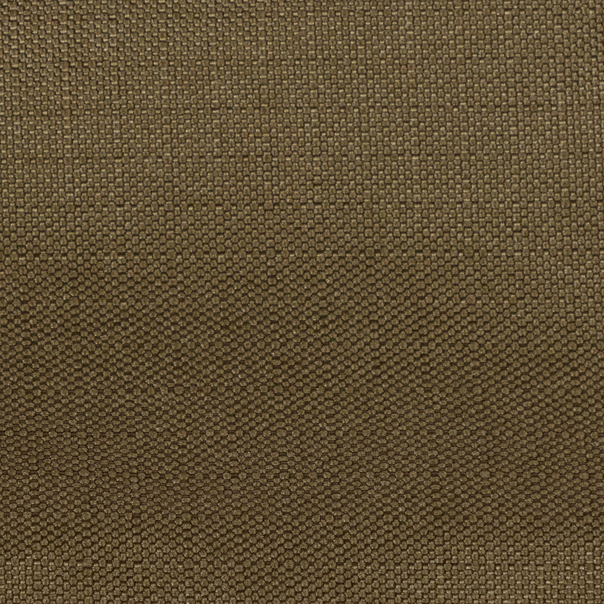 3 in 1 Olive Green Dog Coat