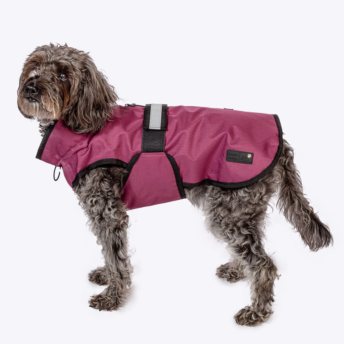 3 in 1 Plum Purple Dog Coat