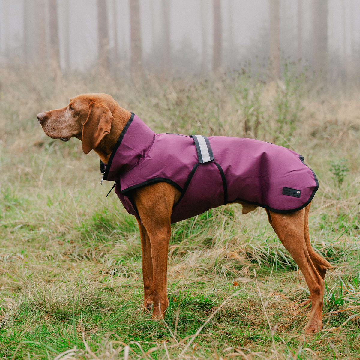 3 in 1 Plum Purple Dog Coat