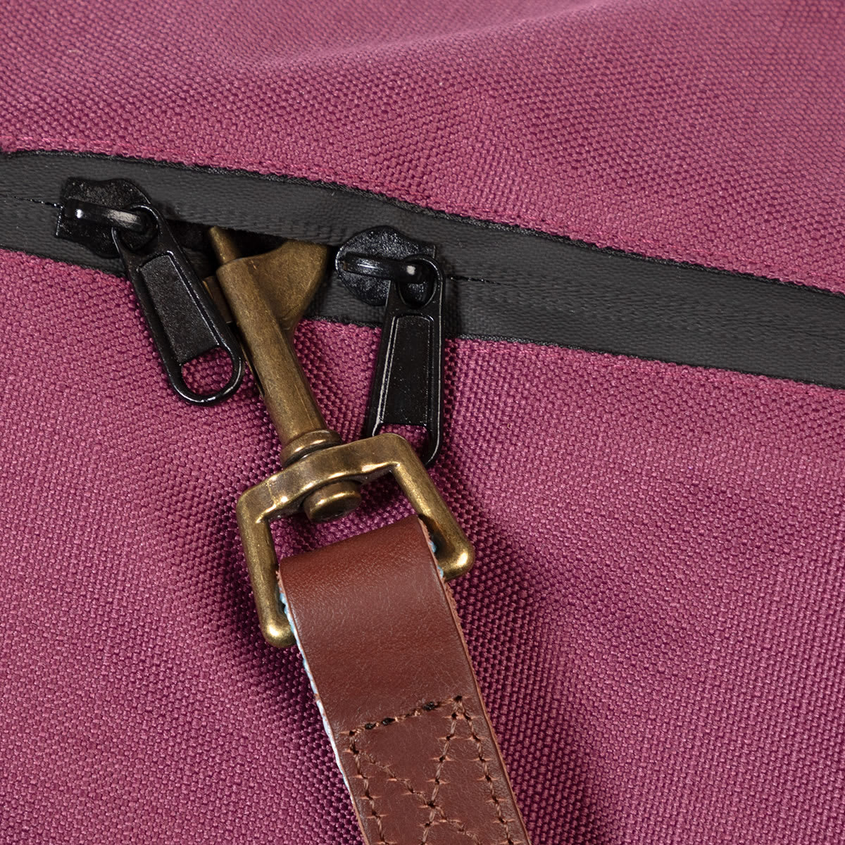 3 in 1 Plum Purple Dog Coat