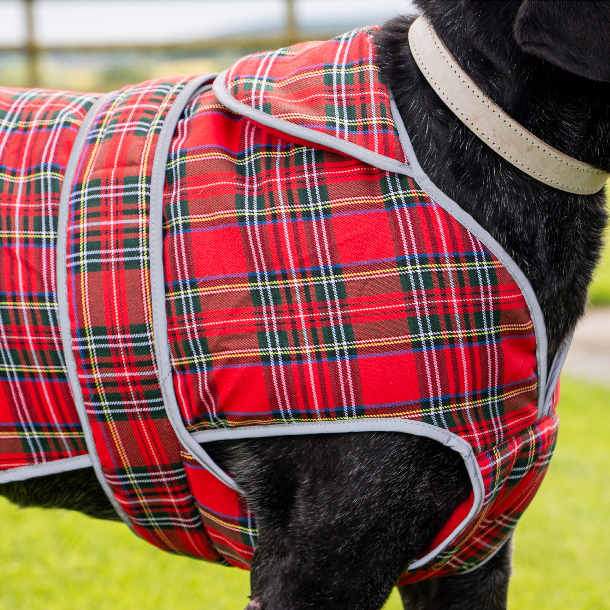 Red Tartan Dog Coat - Heritage