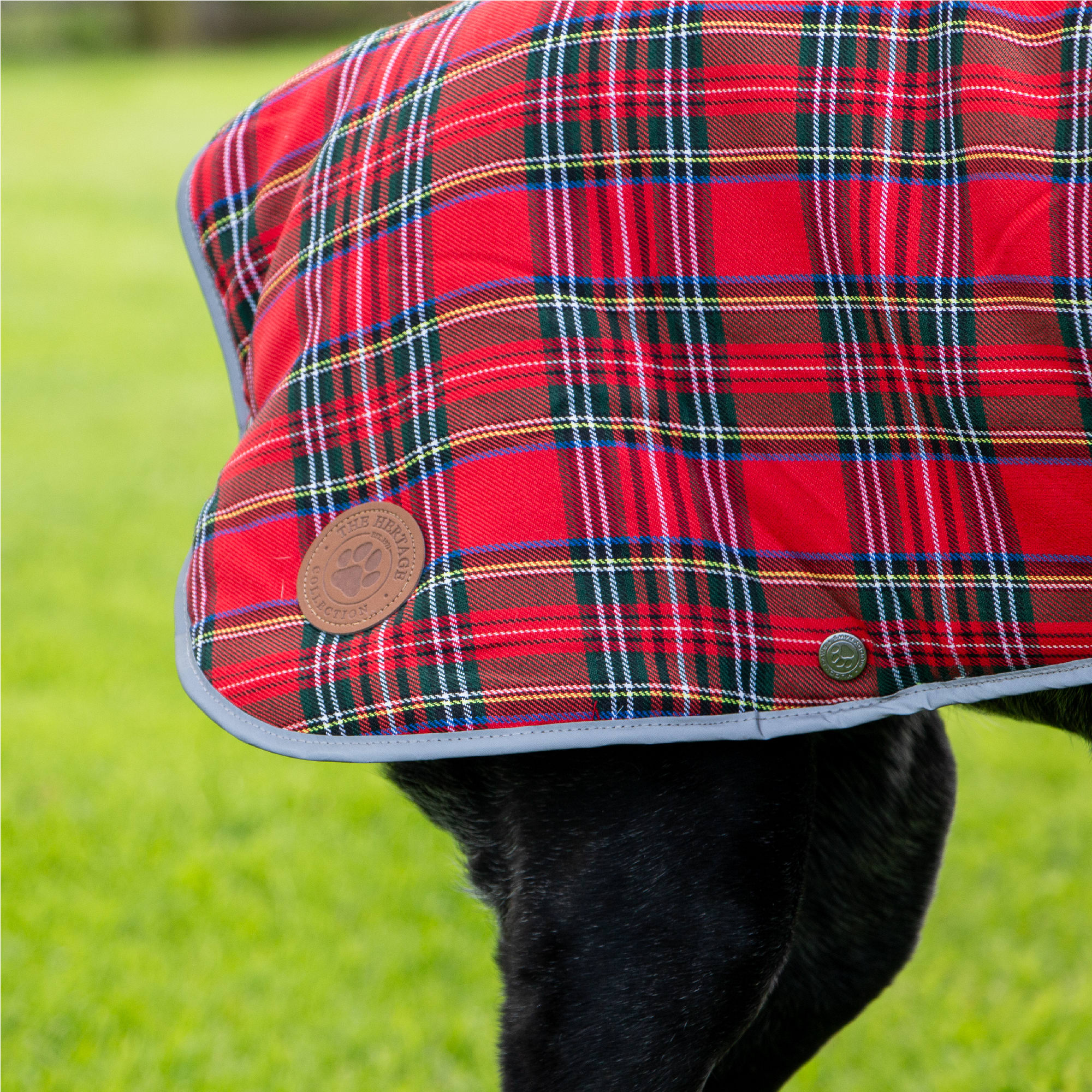 Red Tartan Dog Coat - Heritage