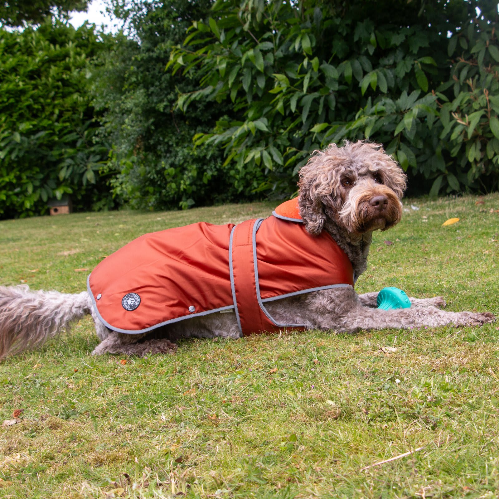 Stormguard Waterproof Dog Coat - Terracotta Red