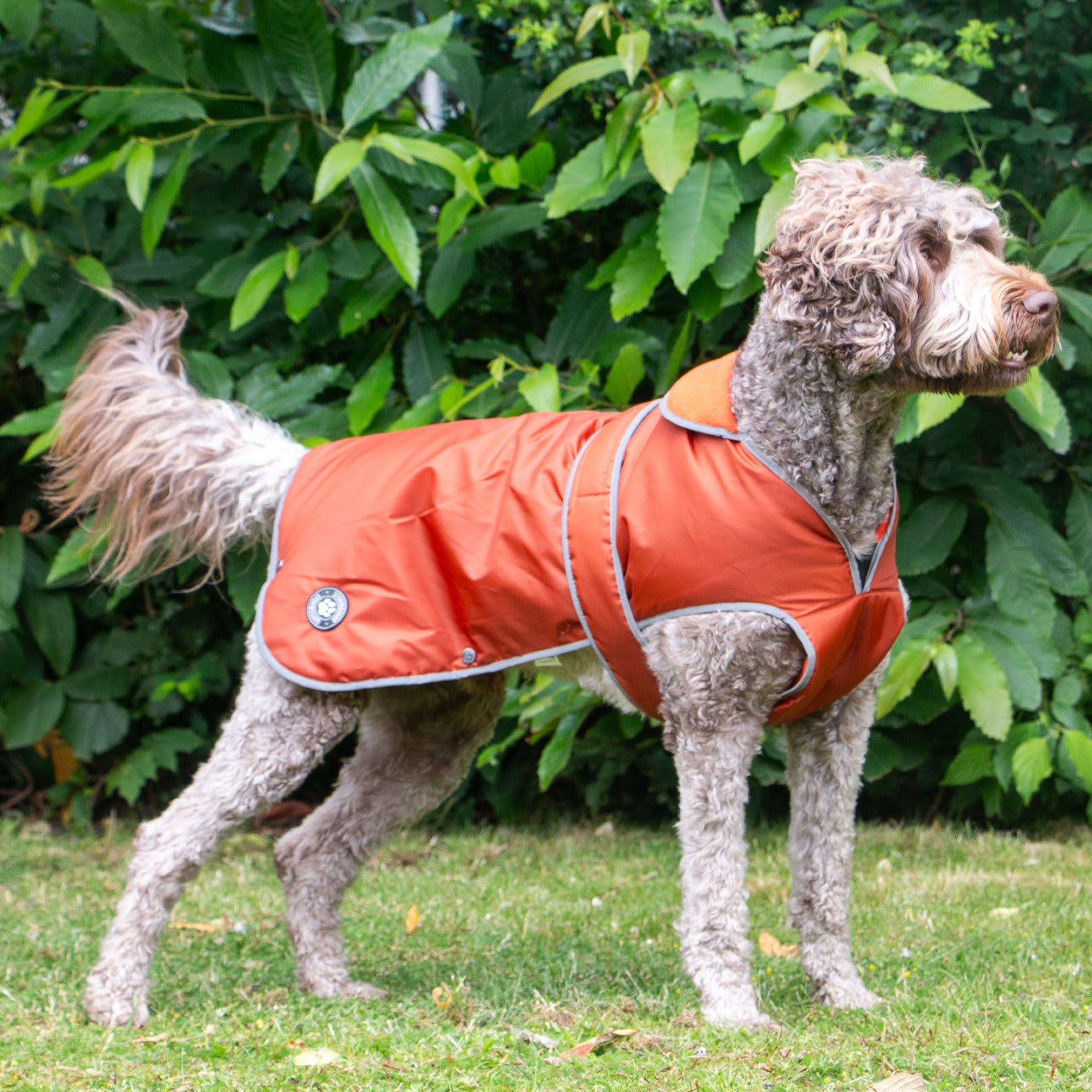 Stormguard Waterproof Dog Coat - Terracotta Red