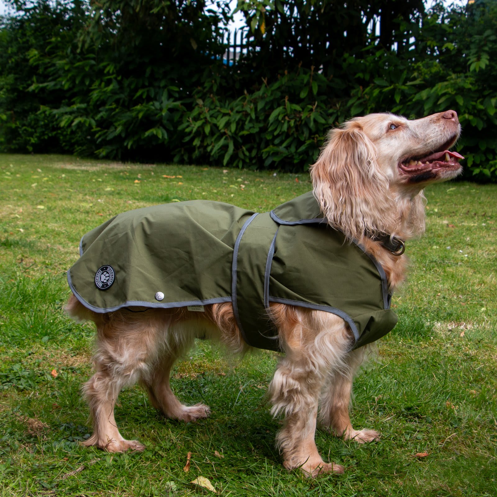 Stormguard Waterproof Shell Dog Coat - Khaki