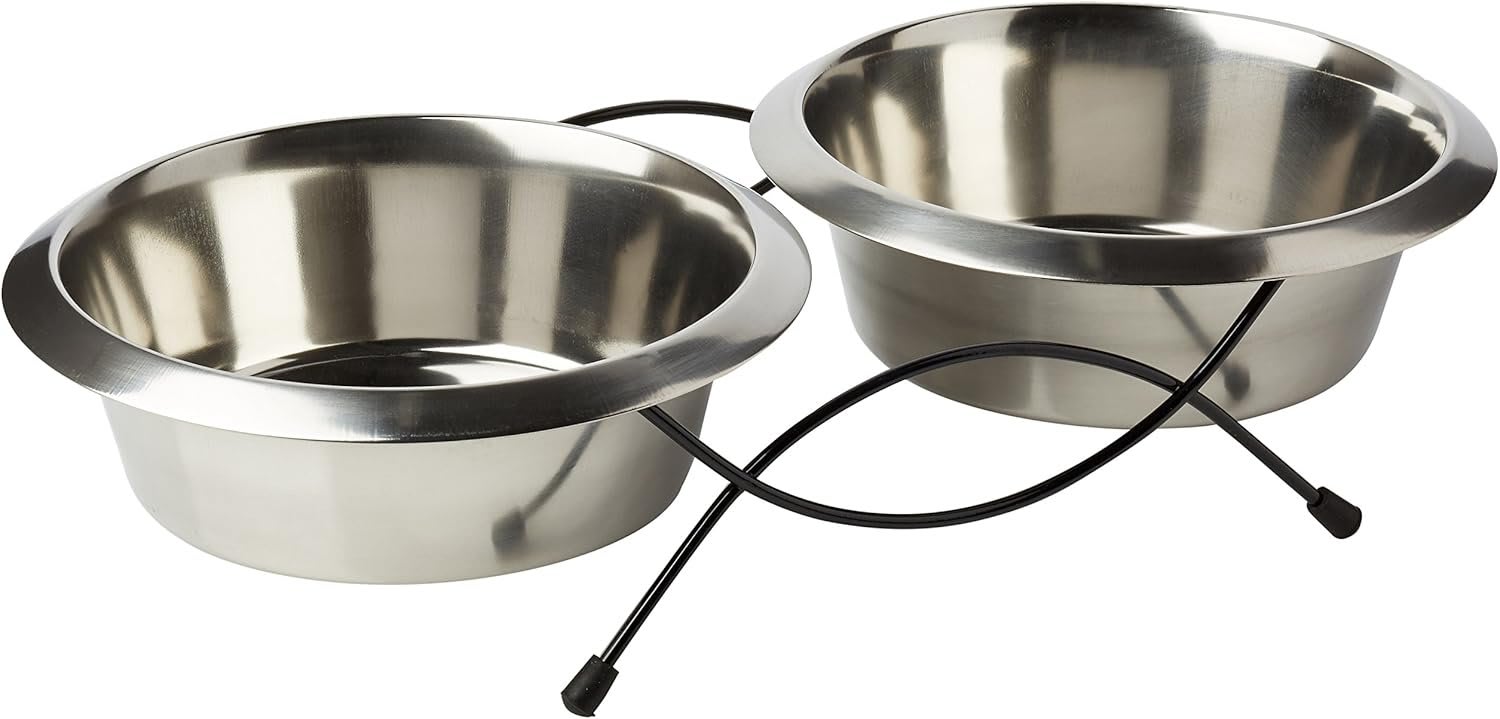 Stainless Steel Twin Feeder