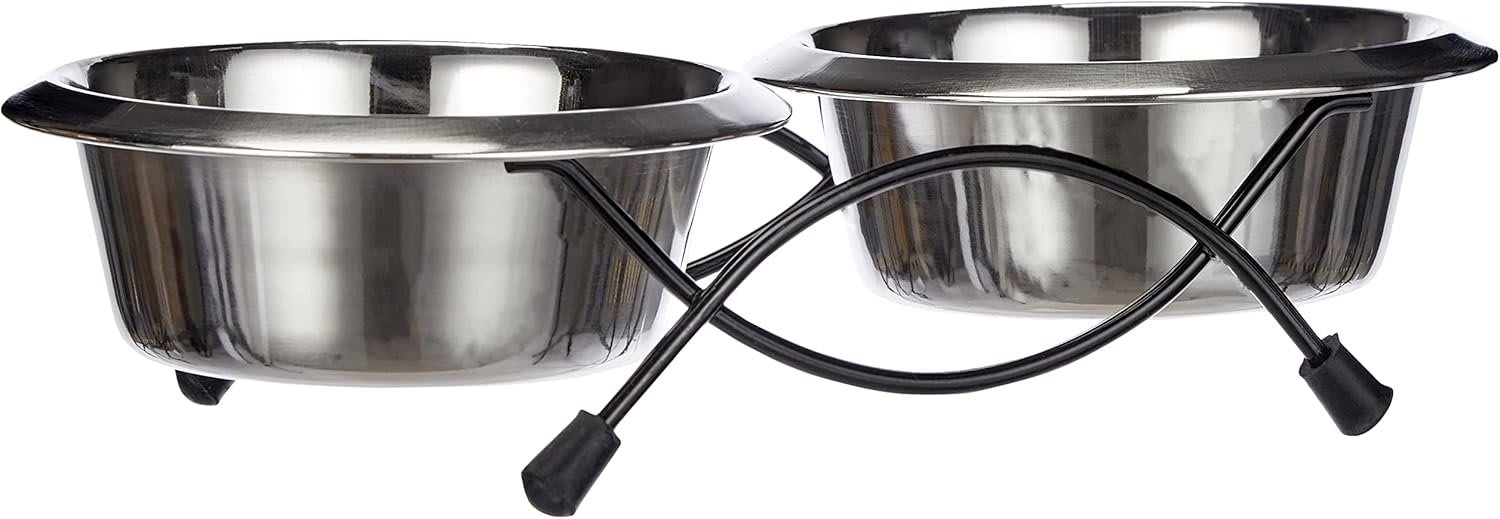 Stainless Steel Twin Feeder