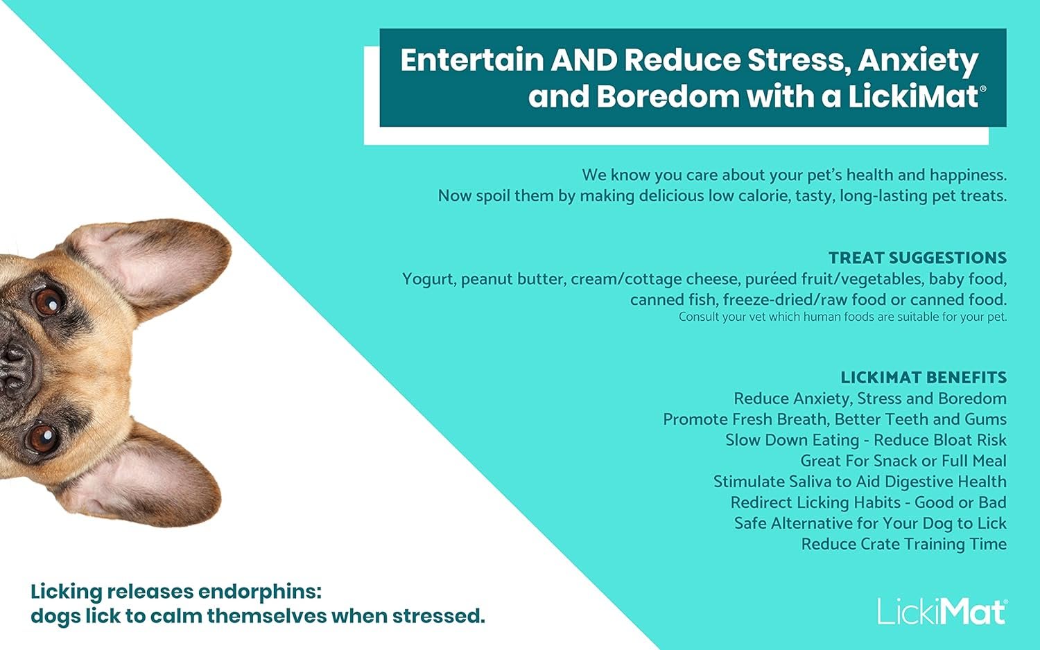 Lickimat Tuff Buddy - Turquoise