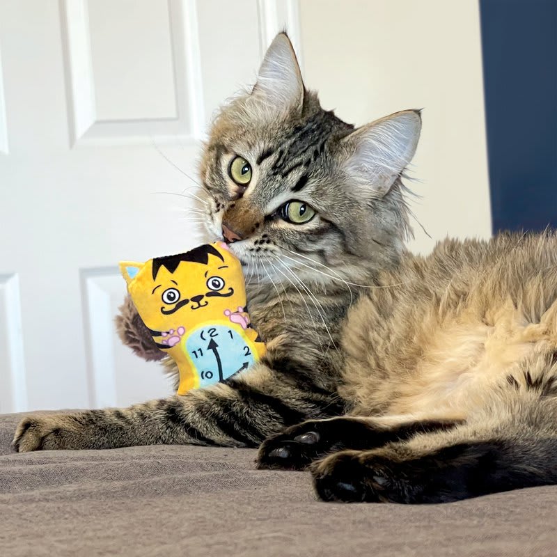 KONG Artz Dali / van Gogh 2-pk