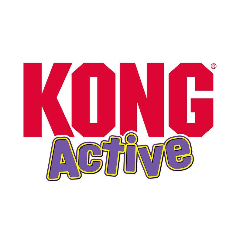 KONG Cat Treat Dispensing Ball
