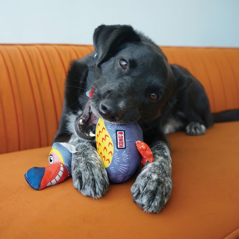 KONG Ballistic Vibez Birds Assorted