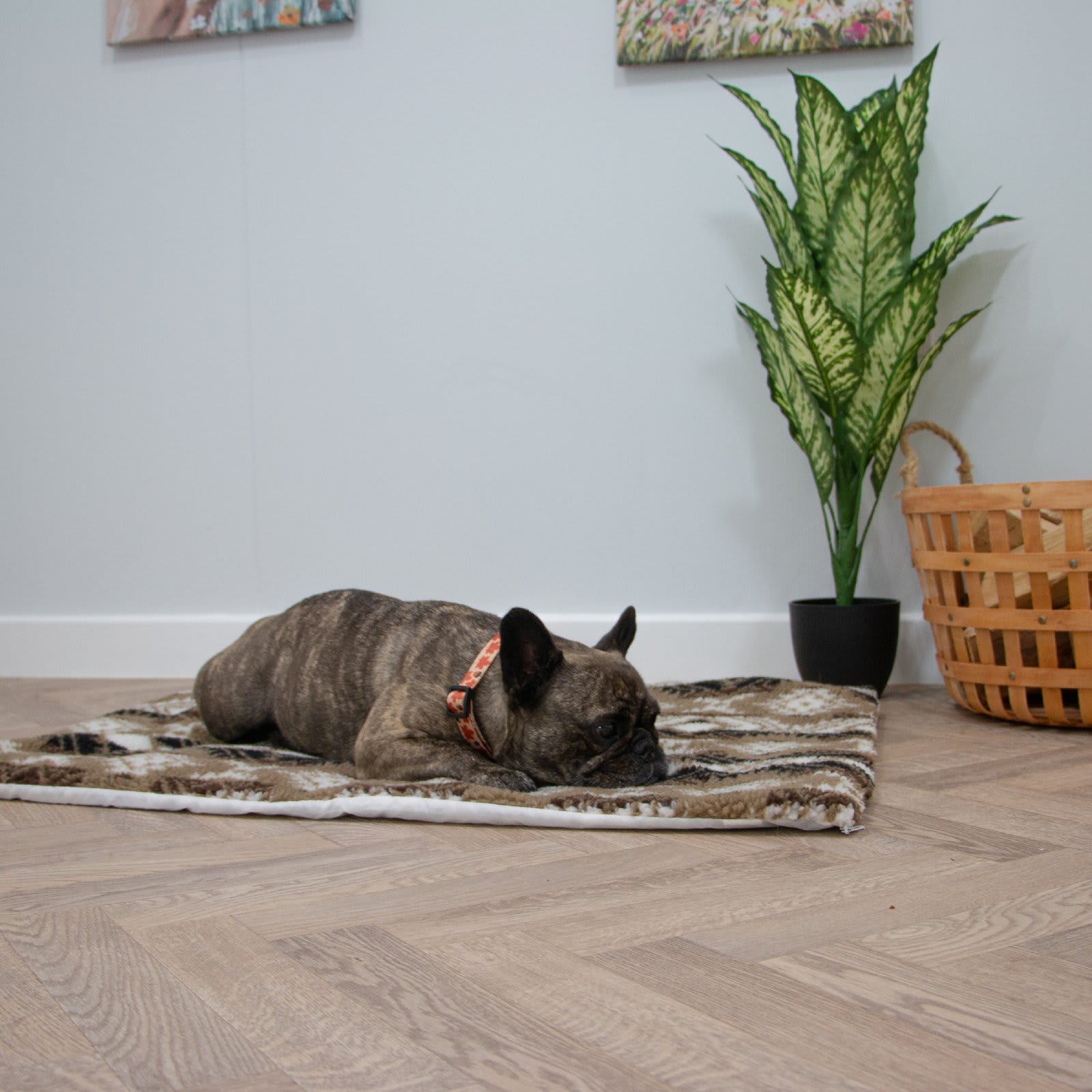 Self Heating Pad - Aztec