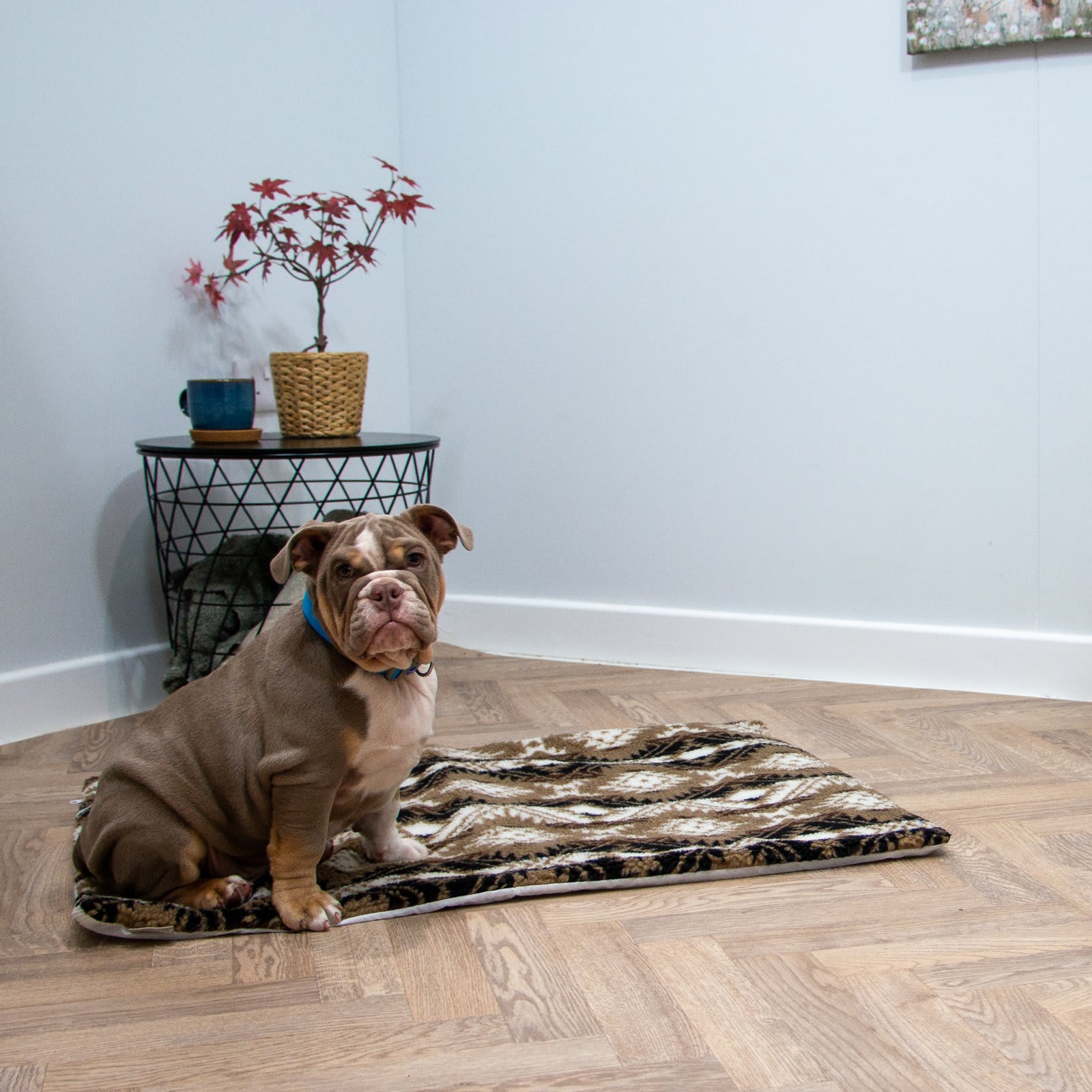 Self Heating Pad - Aztec