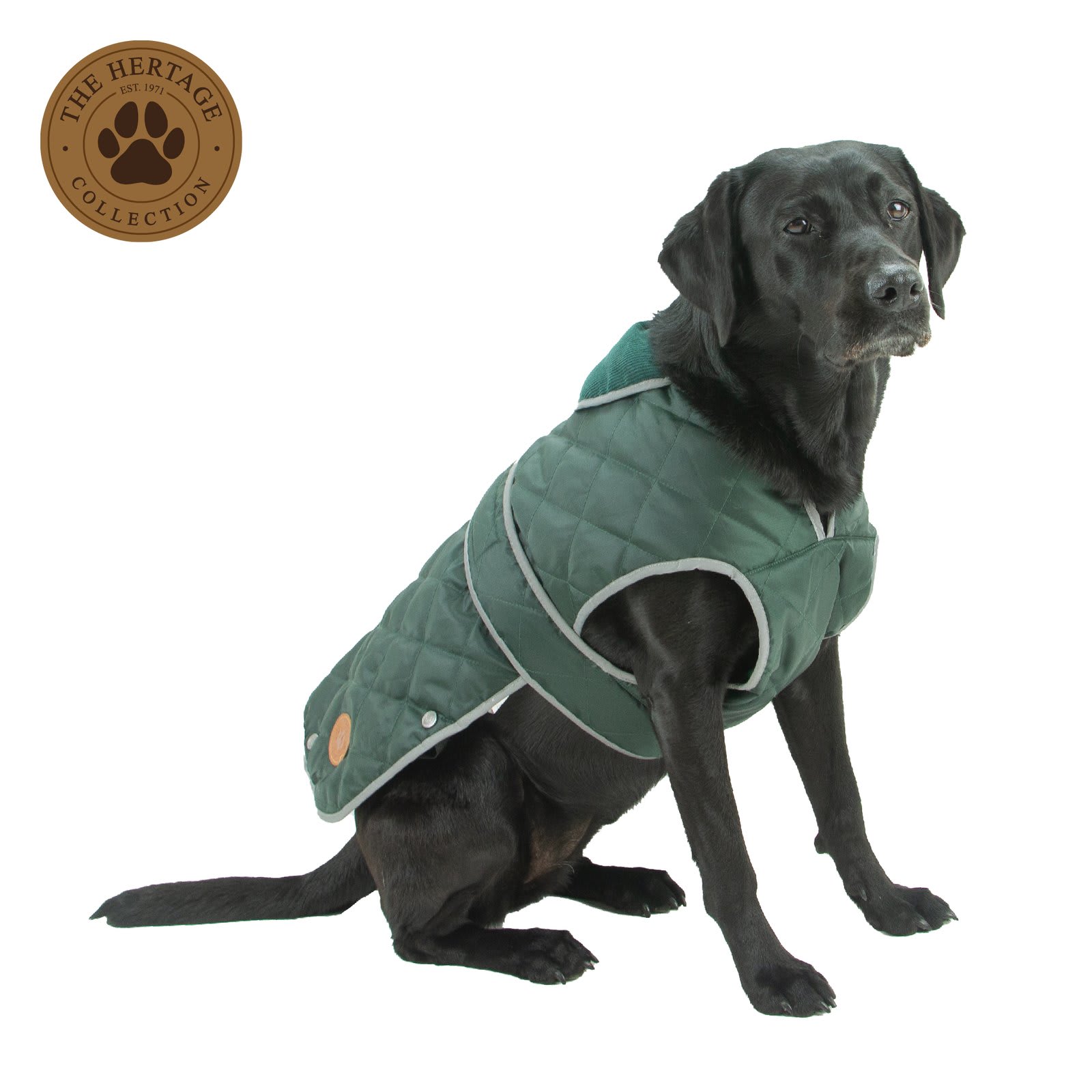 Quilted Dog Coat - Green