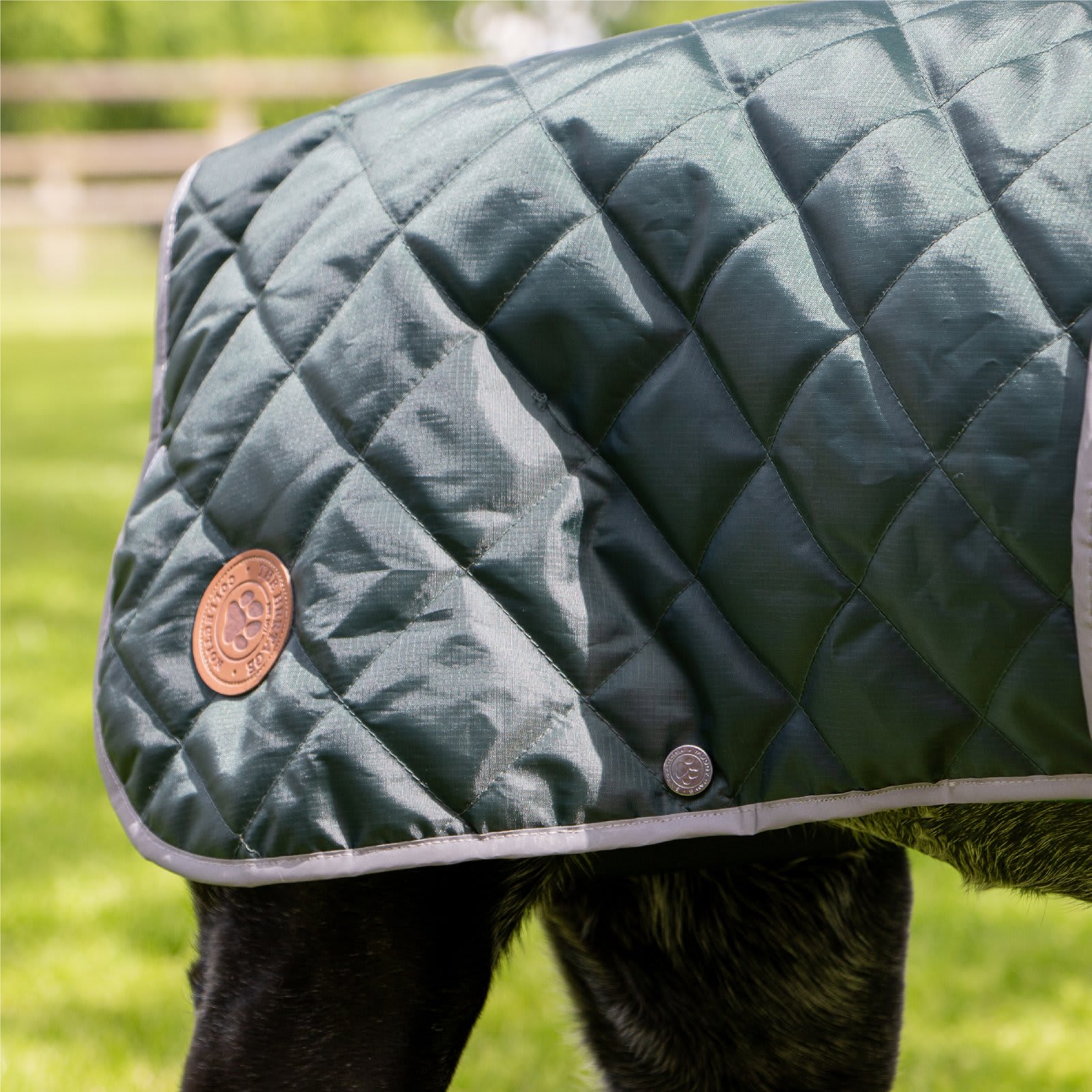 Quilted Dog Coat - Green