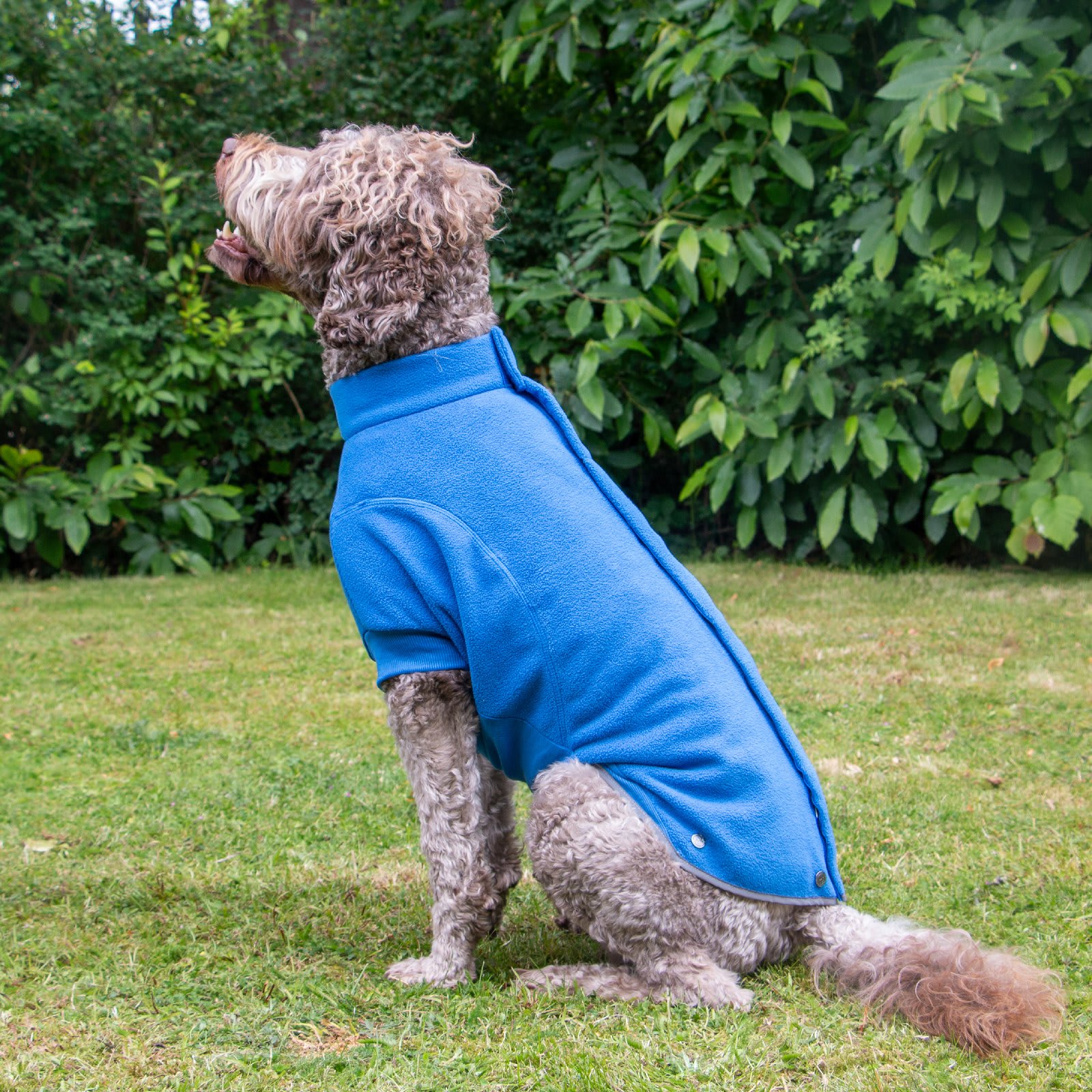 Fleece Dog Jumper - Blue