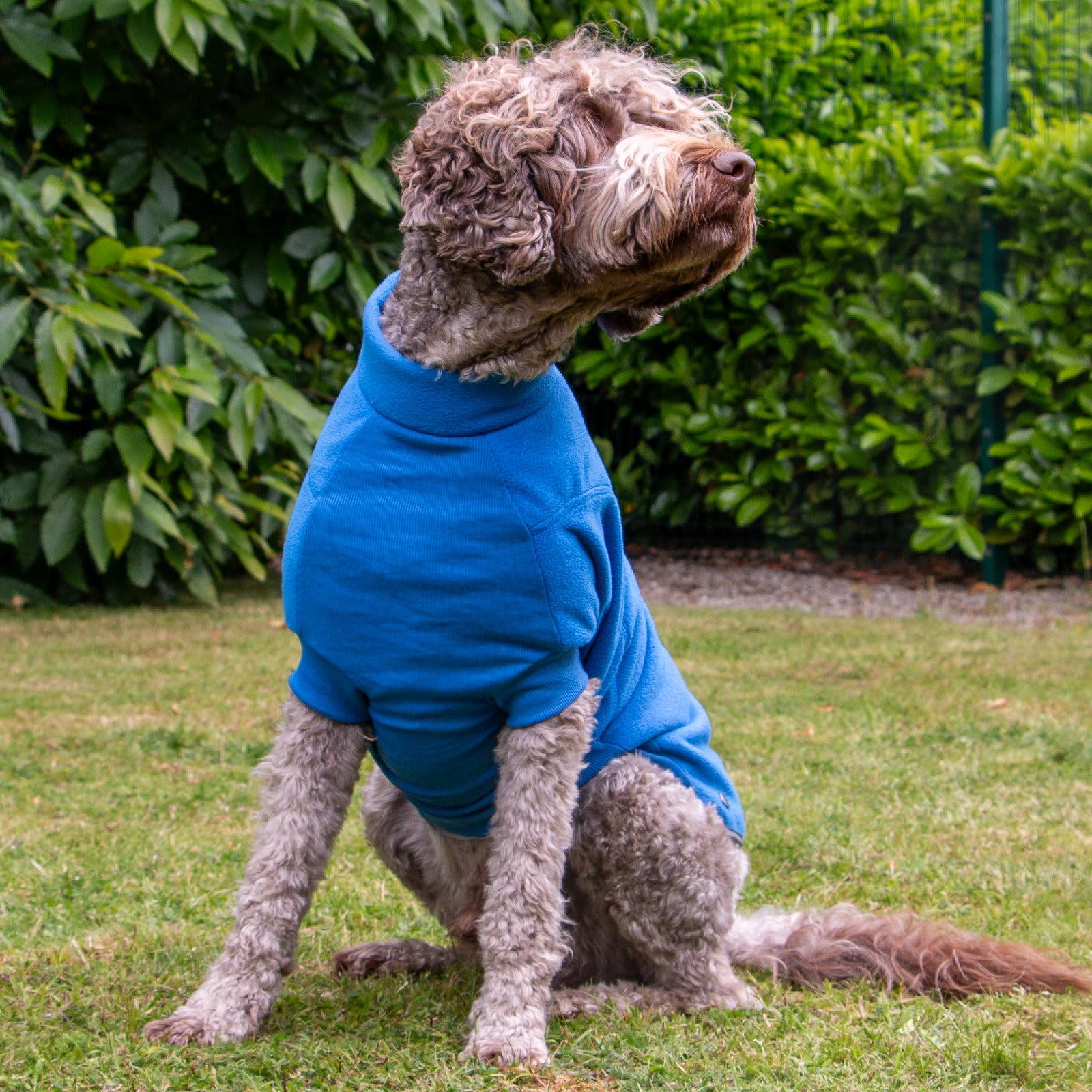 Fleece Dog Jumper - Blue