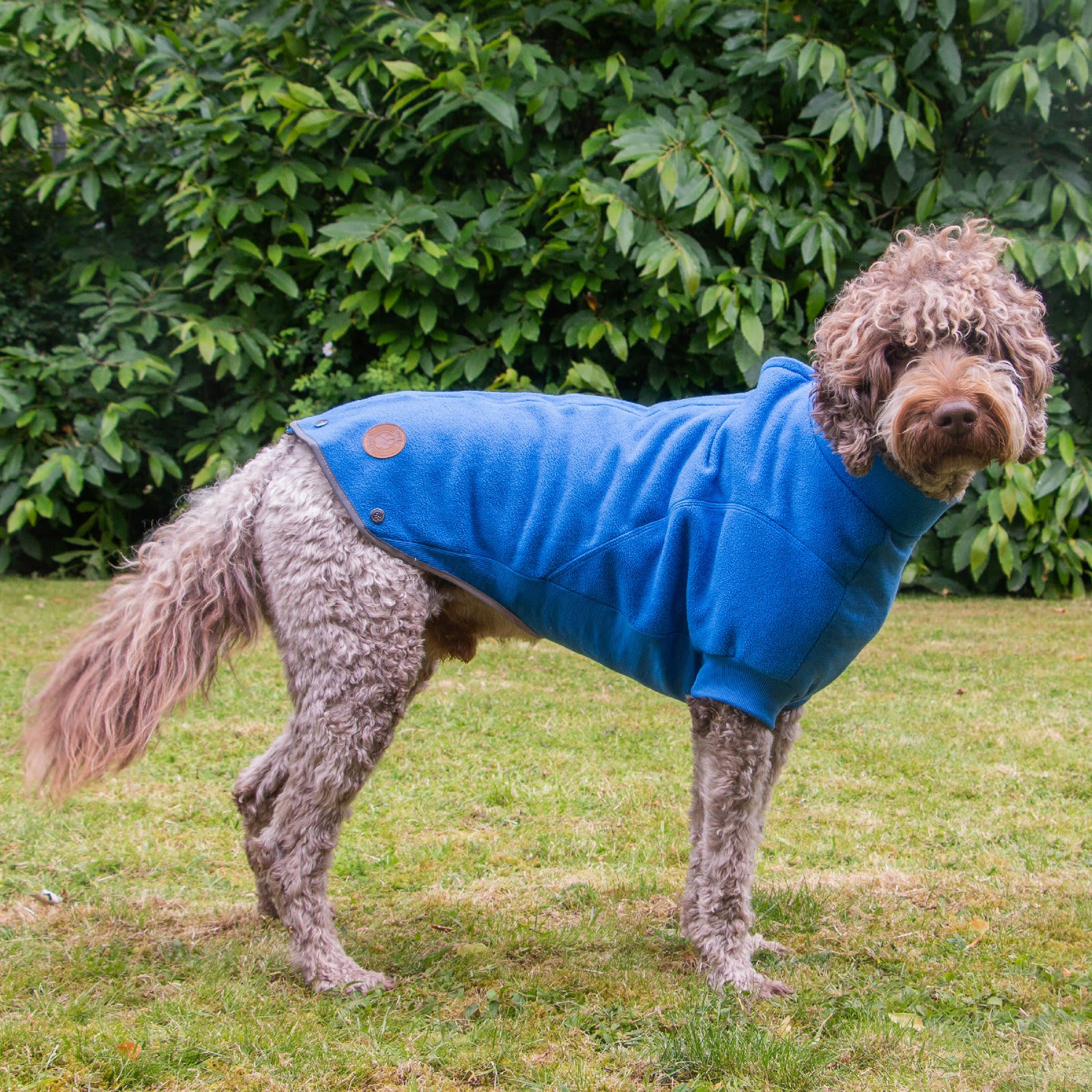 Fleece Dog Jumper - Blue