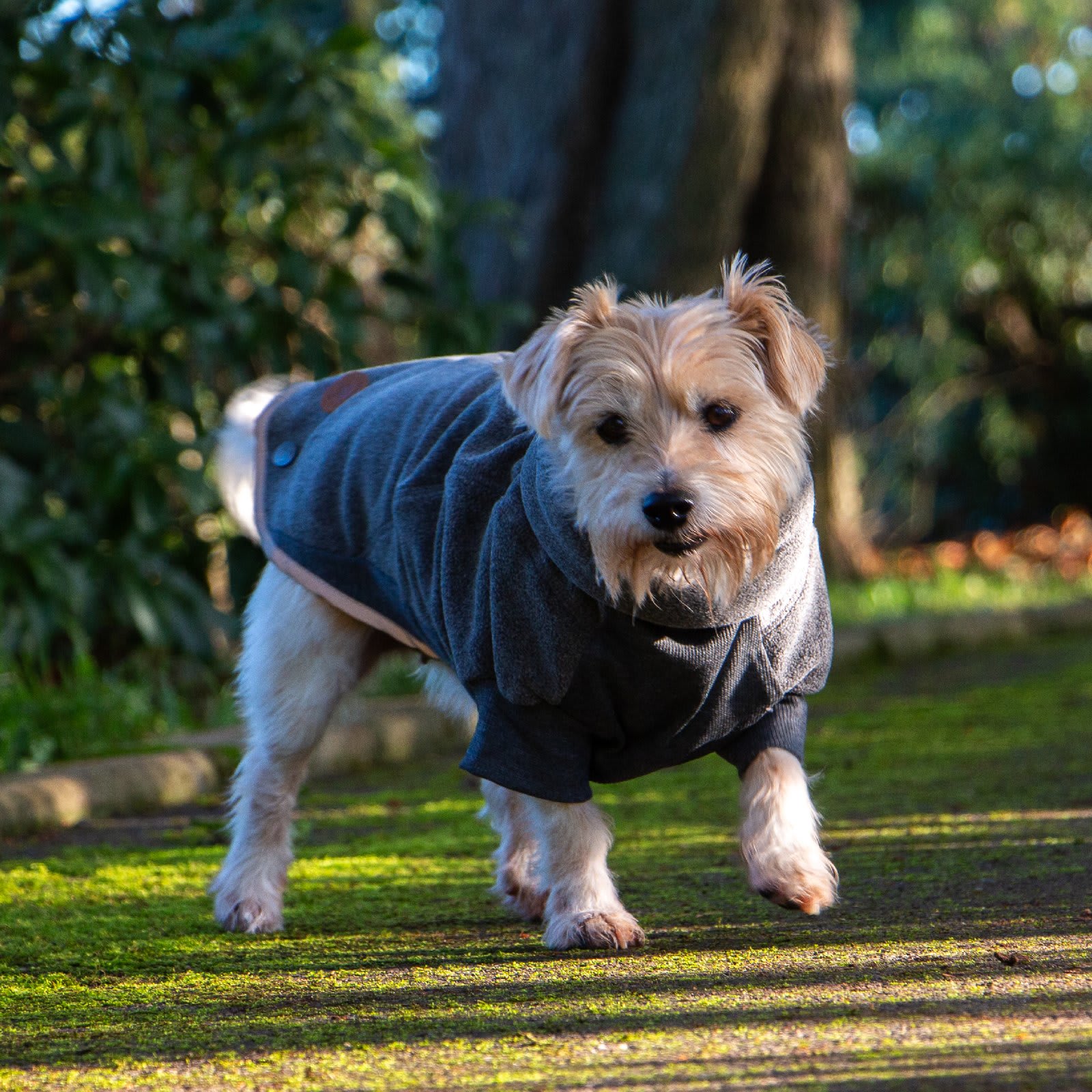 Fleece Dog Jumper - Grey
