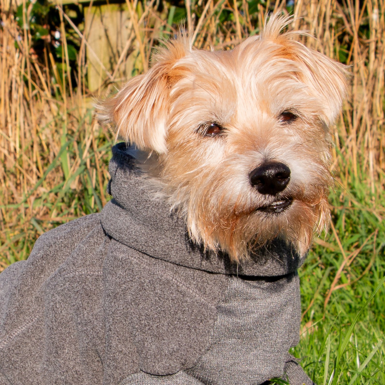 Fleece Dog Jumper - Grey