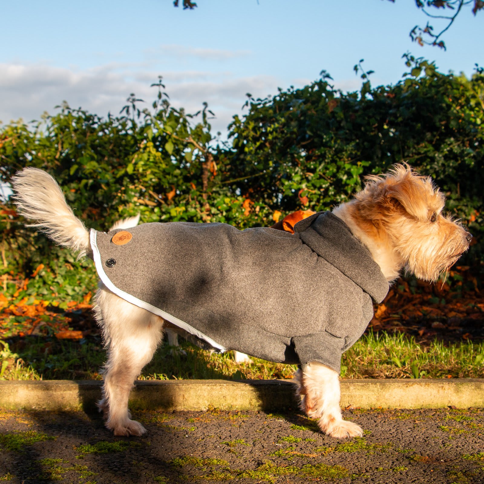 Fleece Dog Jumper - Grey