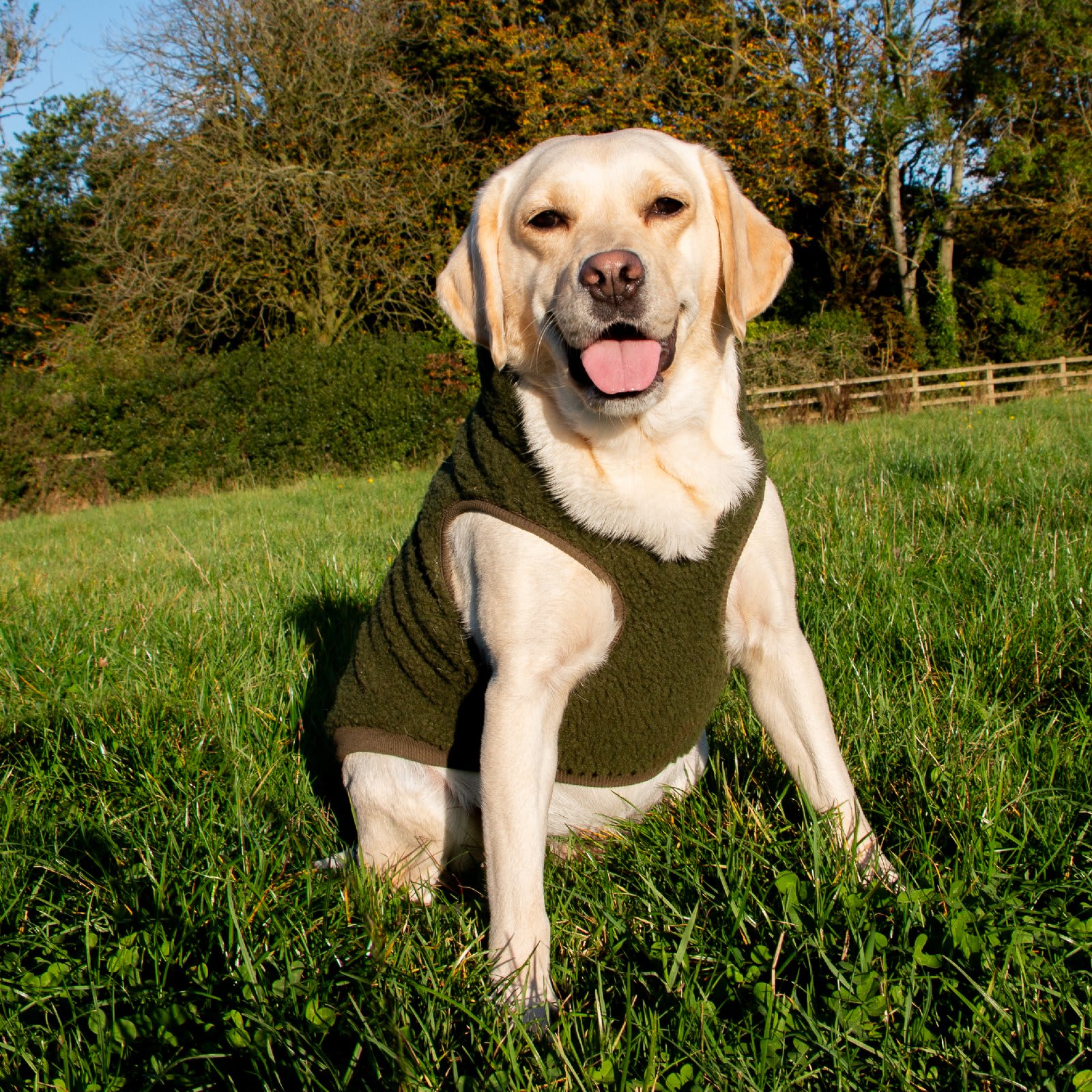 Dog Hoodie Jumper - Green