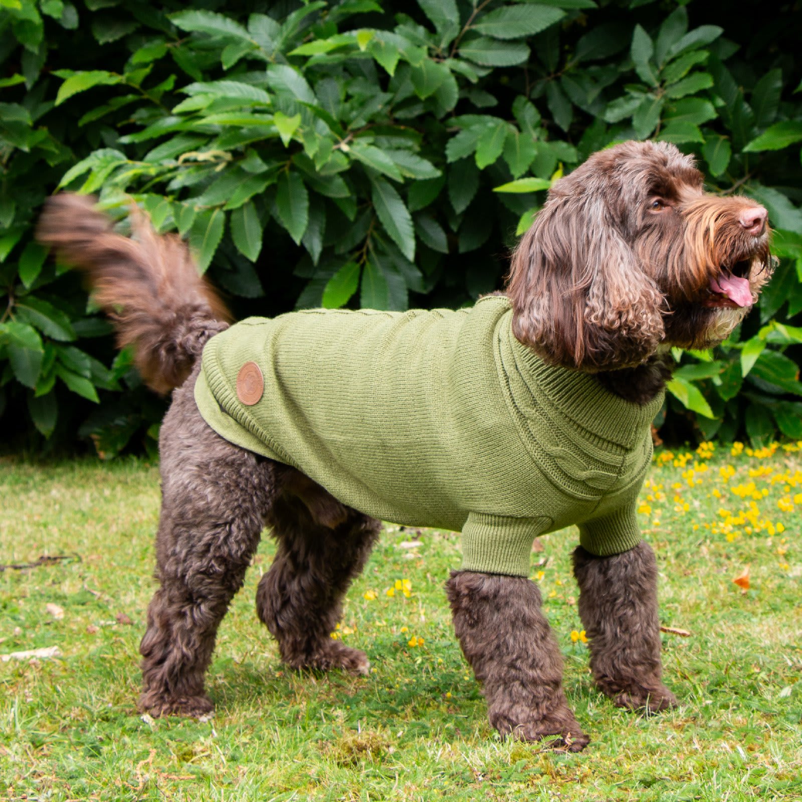 Dog Jumper - Green