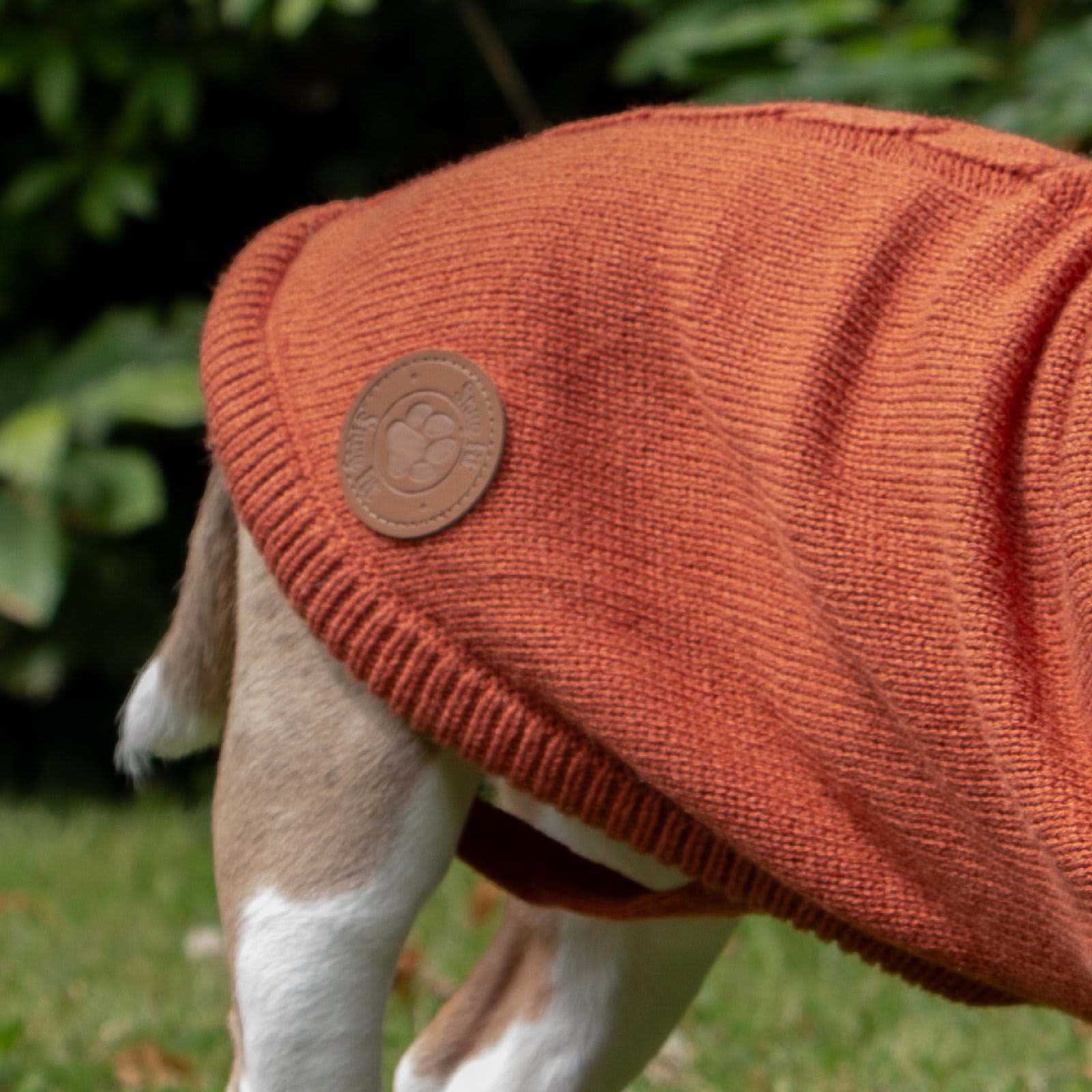 Dog Jumper - Terracotta