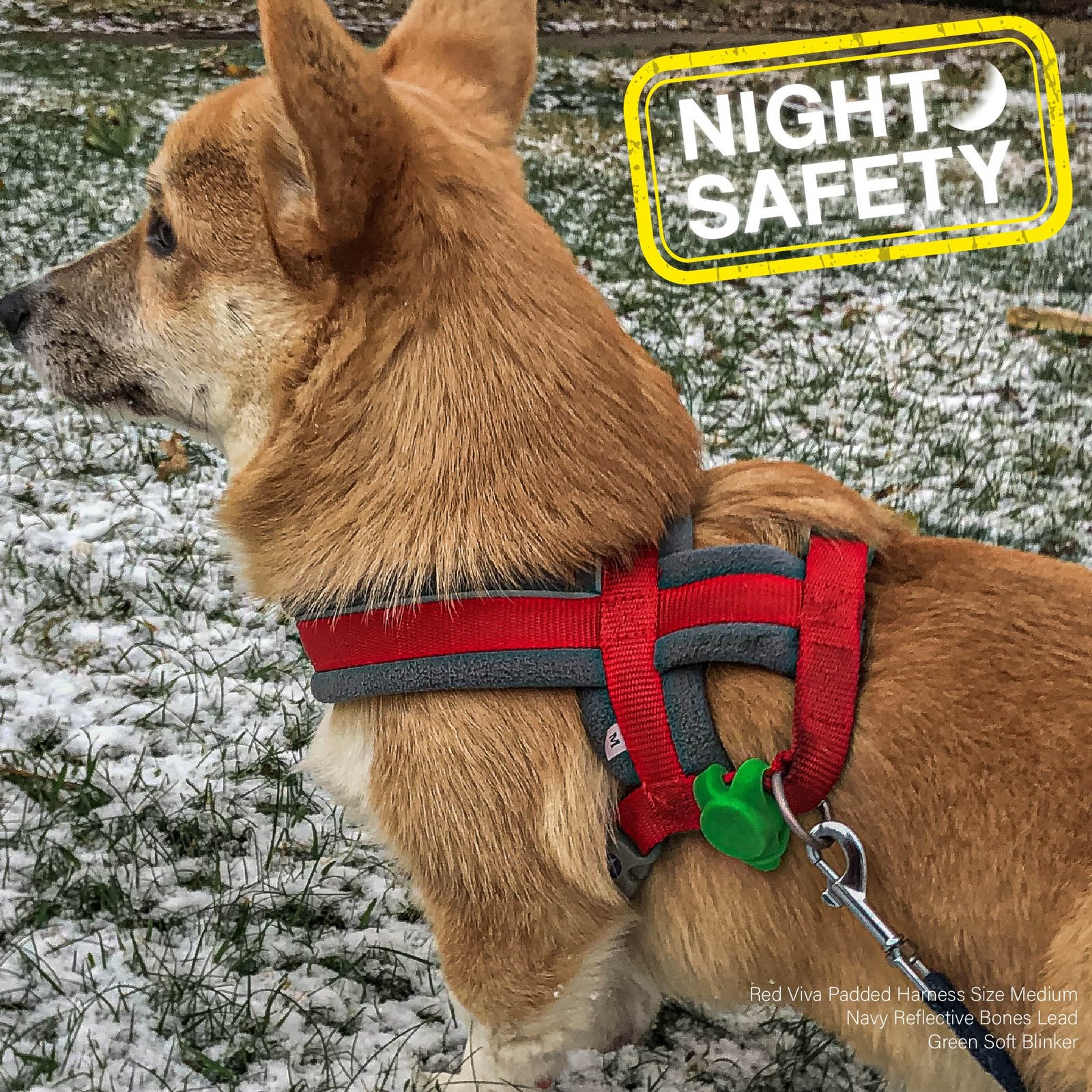 Dog Collar Light - Green Blinker