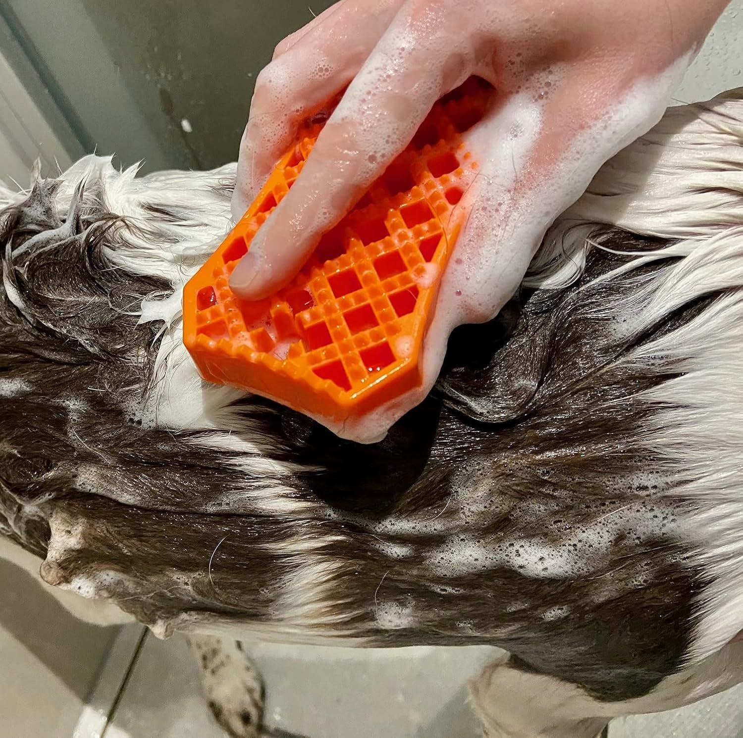 Sheddy Rubber Dog Brush - Wahl