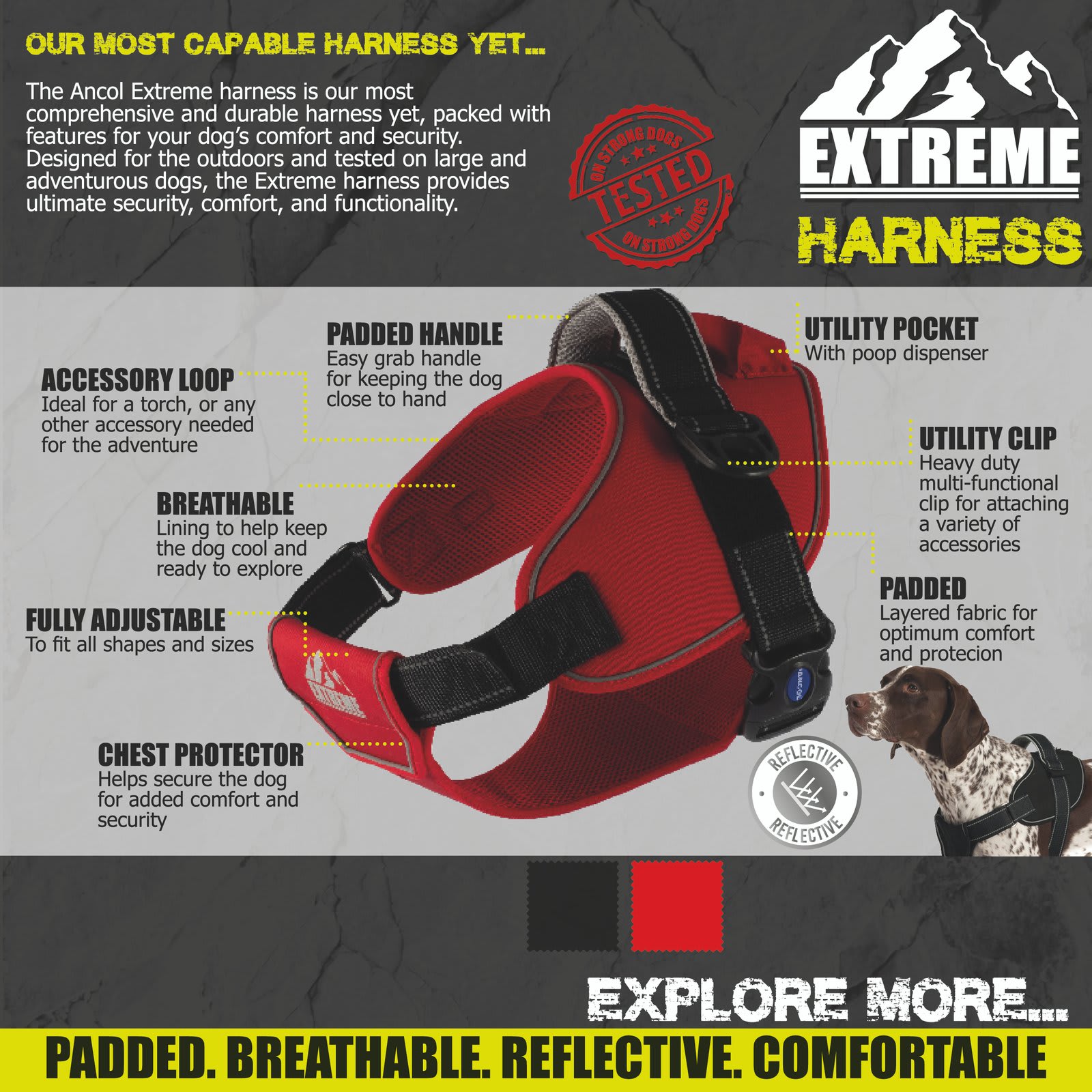 Extreme Dog Harness - Black