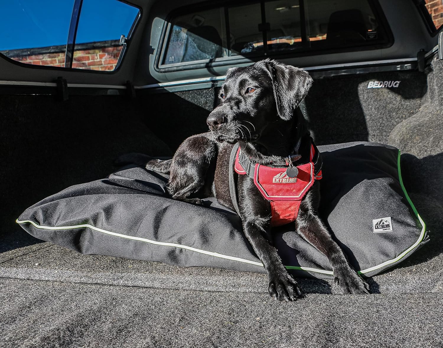 Extreme Dog Harness - Red
