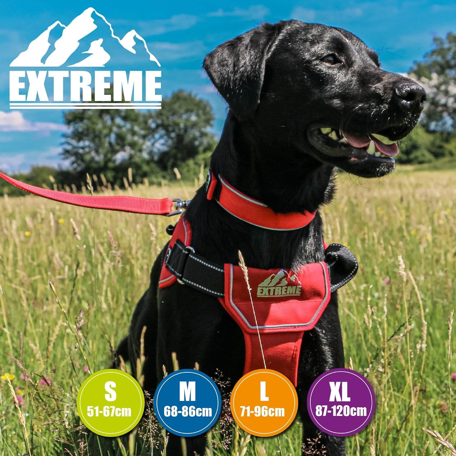 Extreme Dog Harness - Red