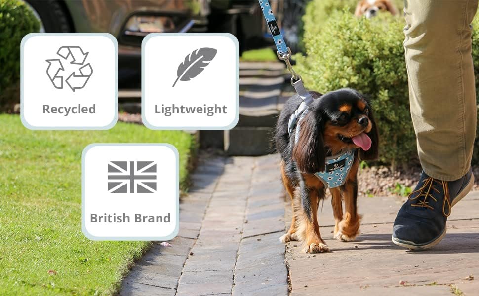 Reversible Dog Harness - Blue Daisy & Polka Dot