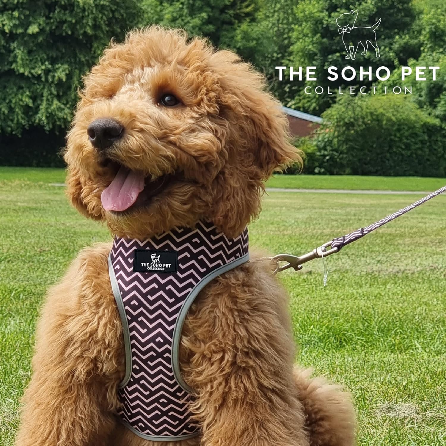 Reversible Dog Harness - Black & White Dalmatian & Zigzag