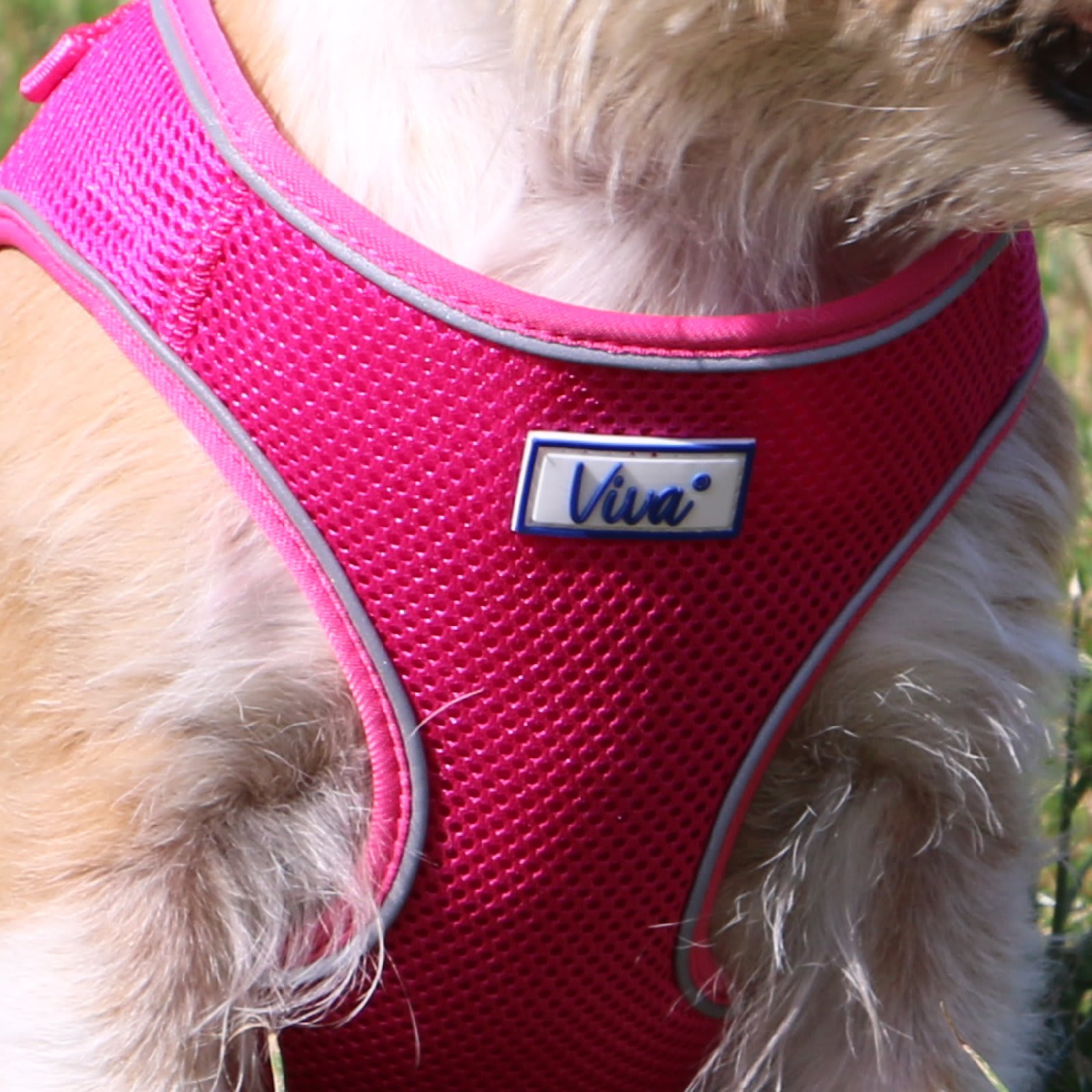 Step In Dog Harness - Pink