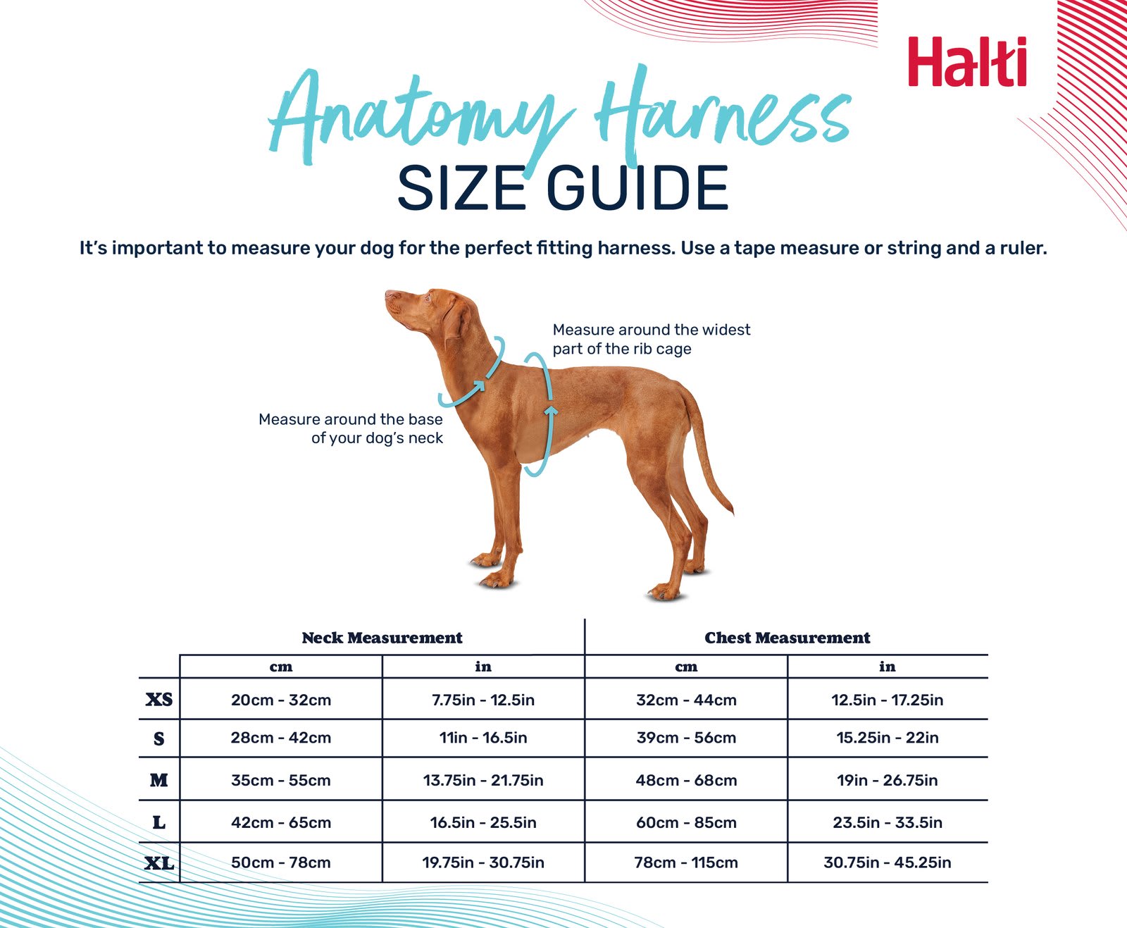 HALTI Anatomy Dog Harness - Pink