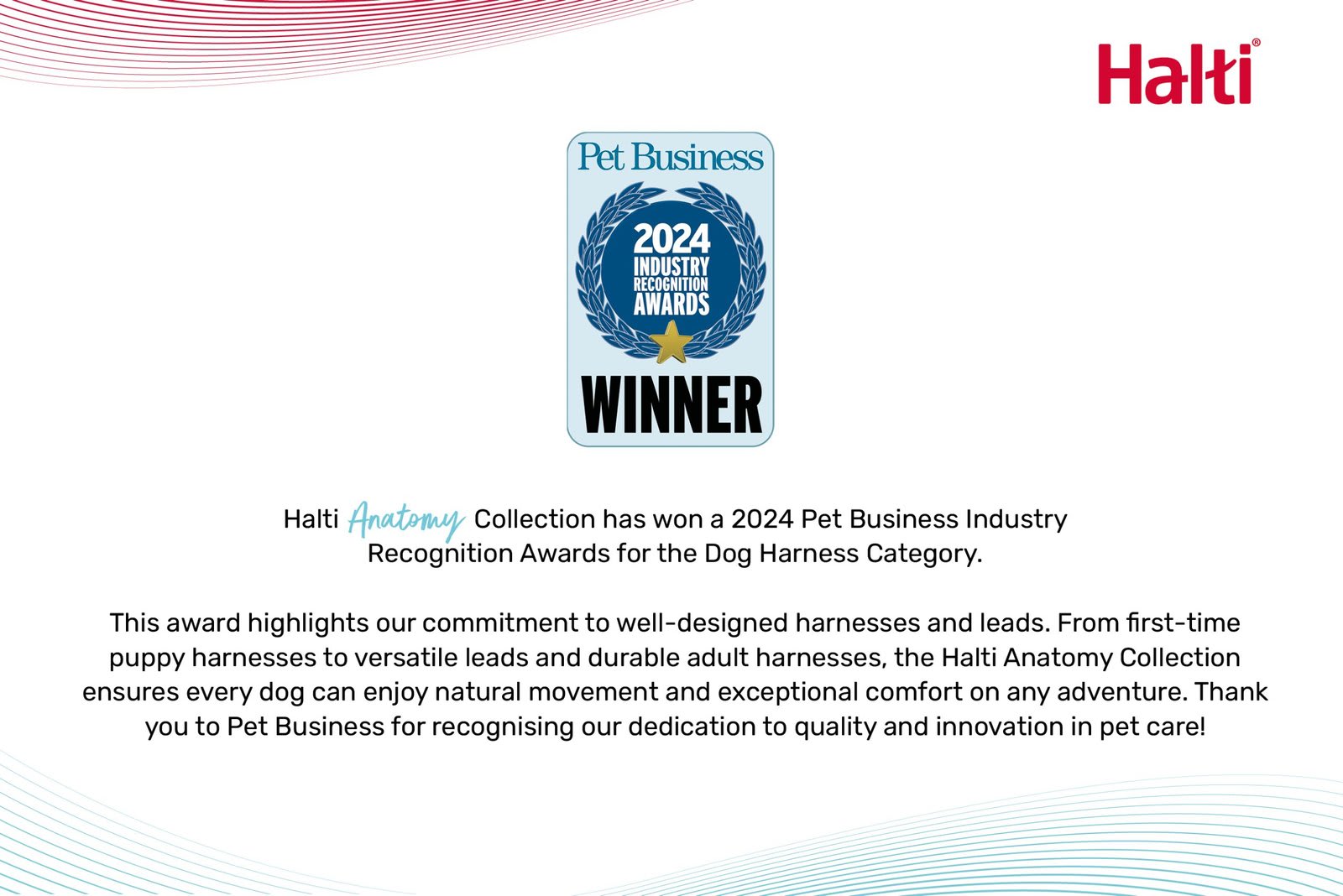 HALTI Anatomy Dog Harness - Pink