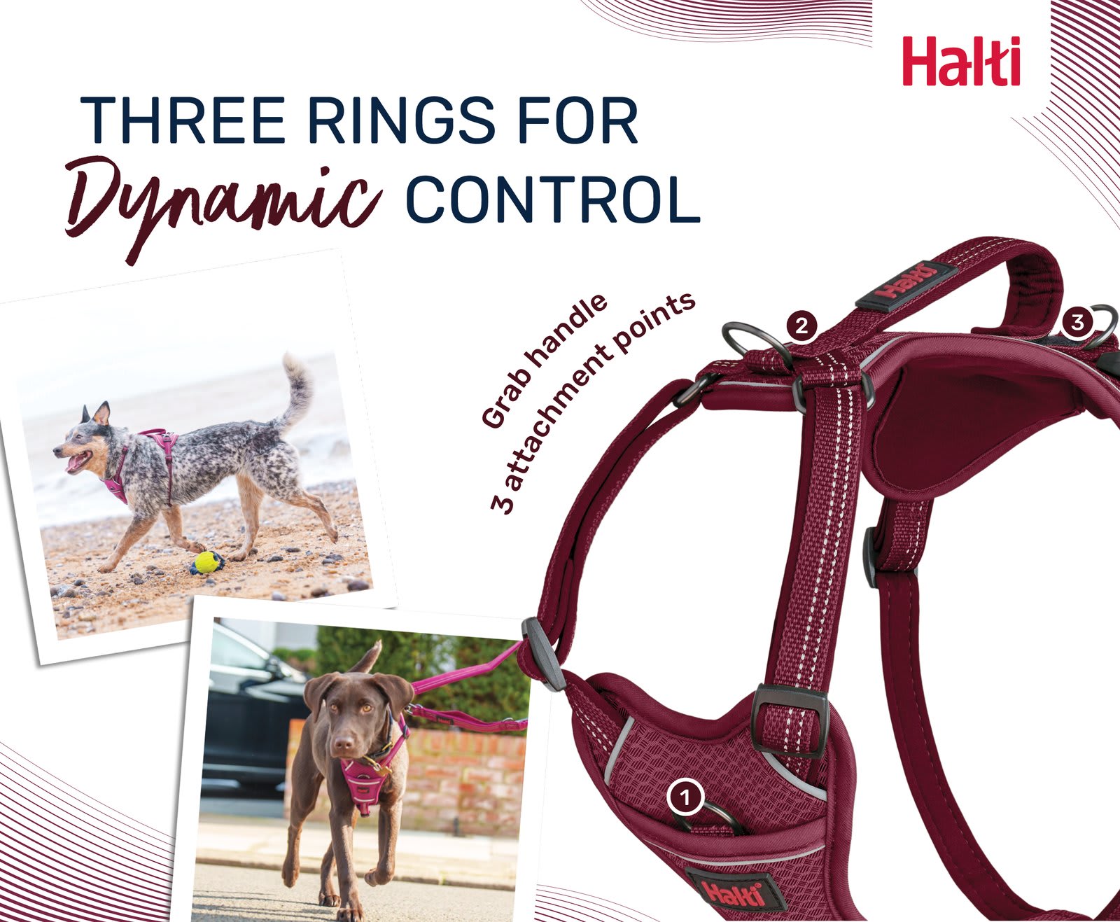 HALTI Anatomy Dog Harness - Pink