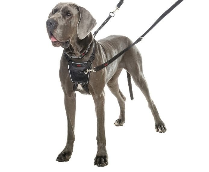 HALTI No Pull Harness - Black