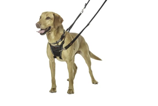 HALTI No Pull Harness - Black