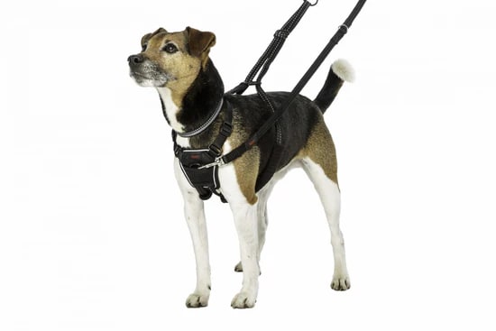 HALTI No Pull Harness - Black