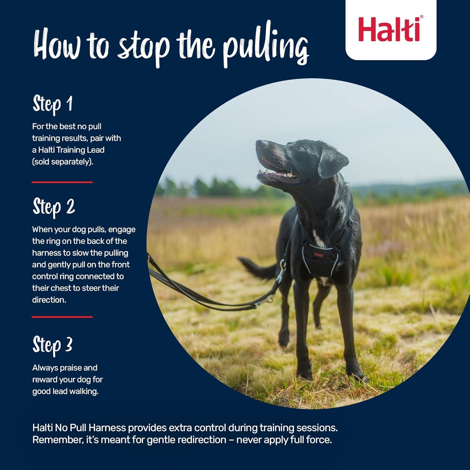 HALTI No Pull Harness - Black