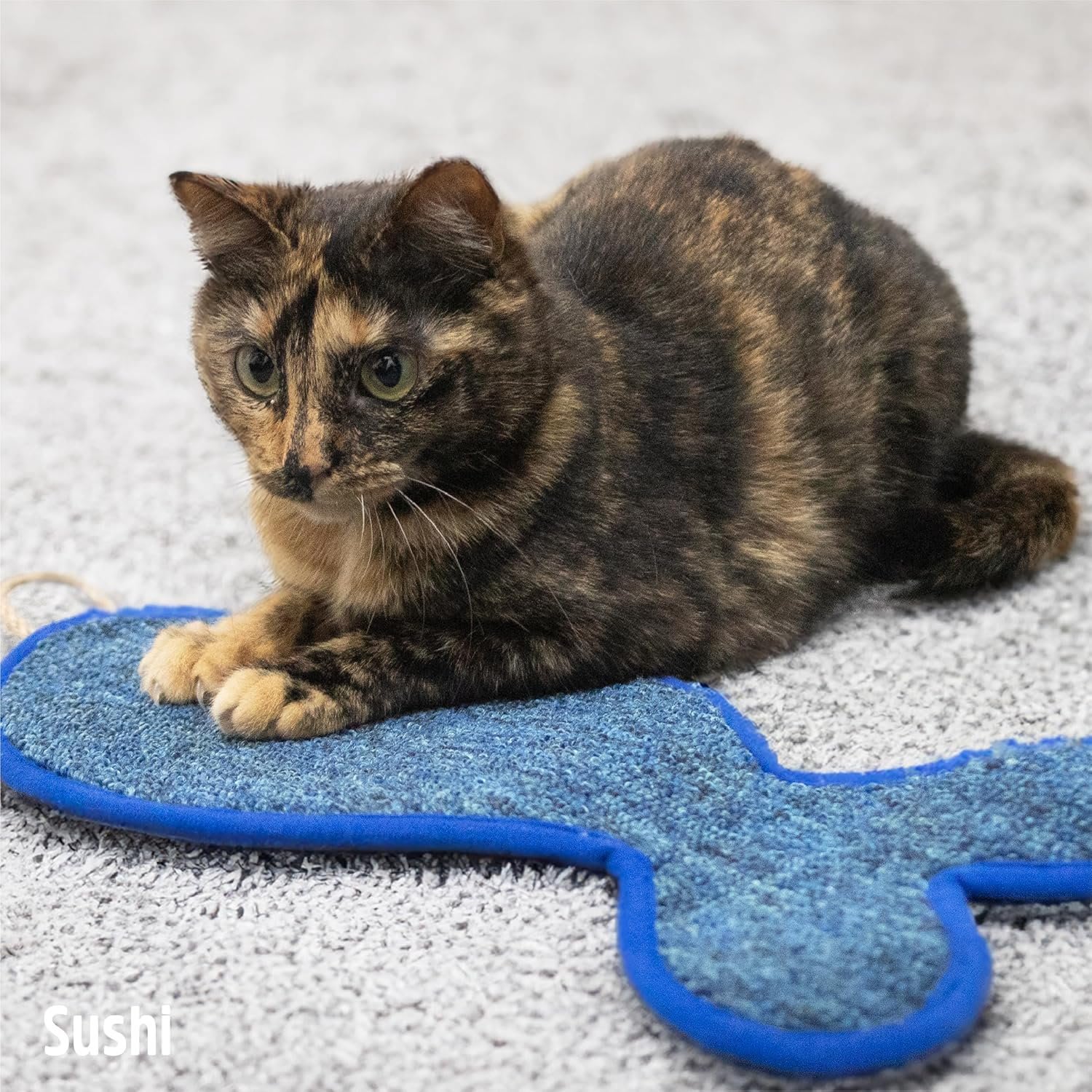 Battersea Fish Shaped Cat Scratcher