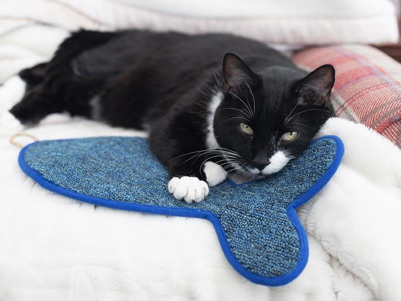 Battersea Fish Shaped Cat Scratcher