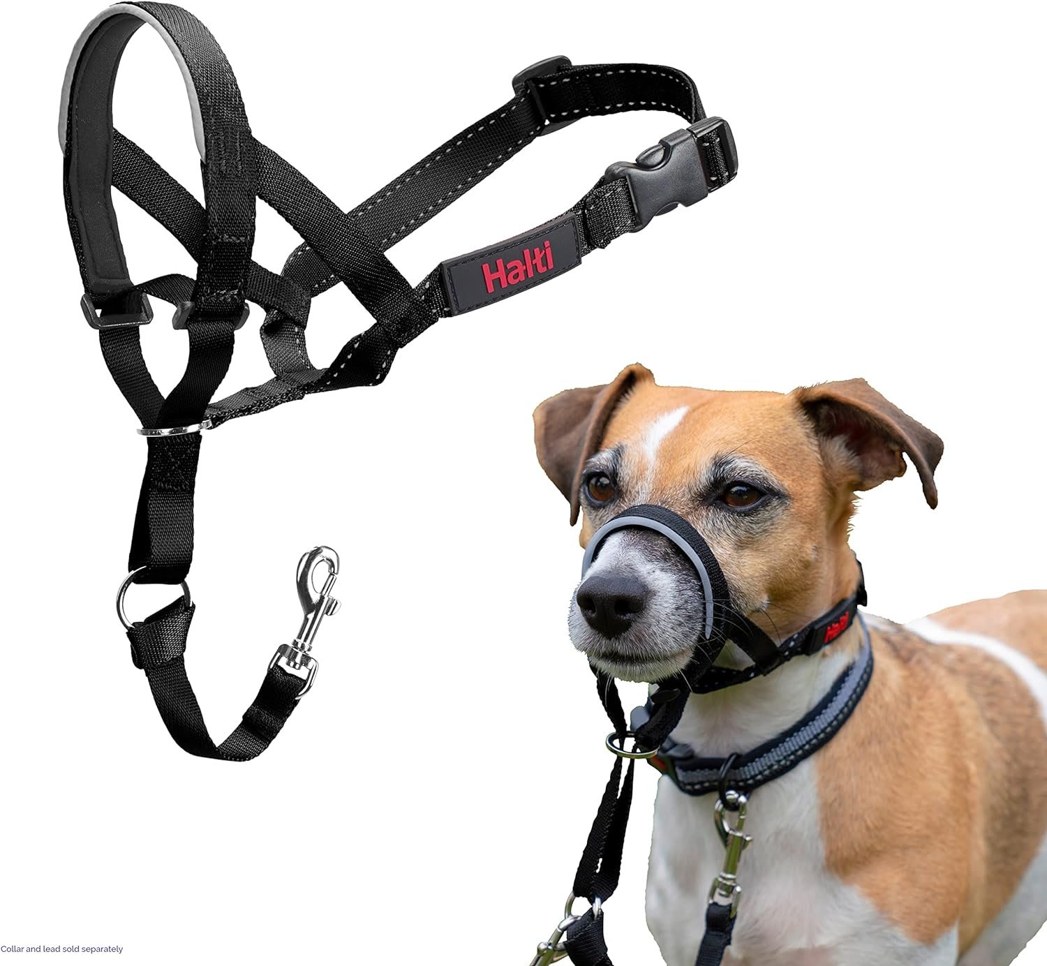 HALTI - Black Head Collar